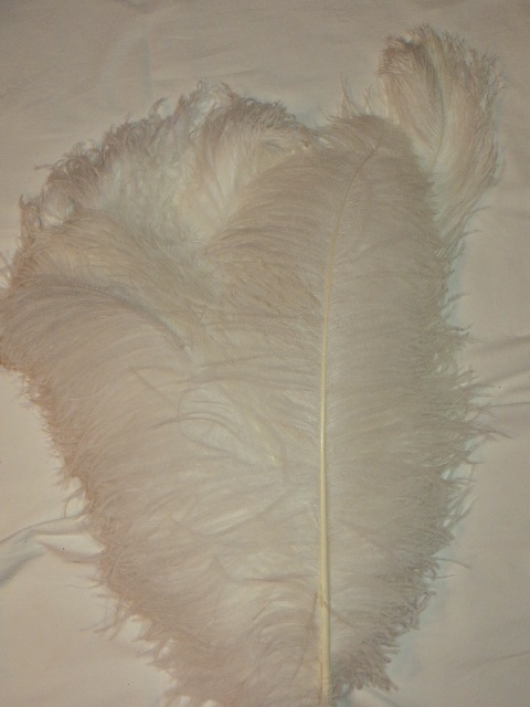 Straußenfeder Luxus - weiß