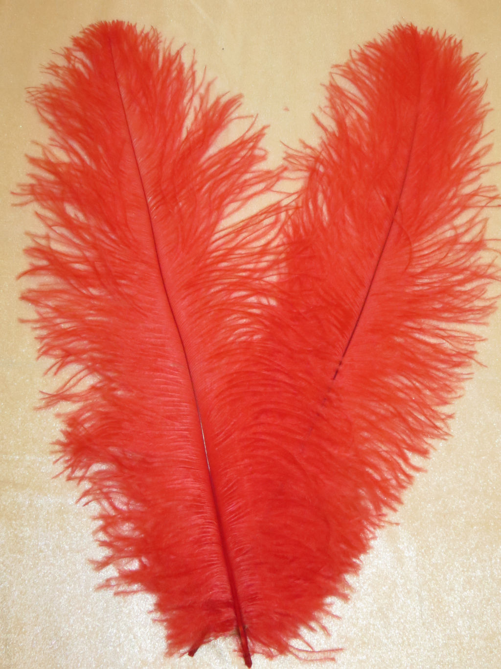 Straußenfeder klein - Reisefeder - rot