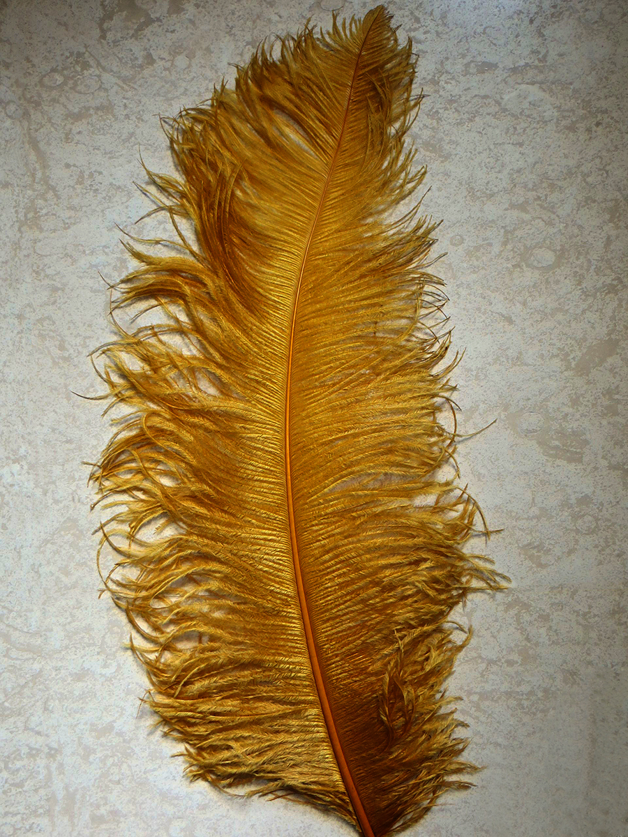 Straußenfeder XL - GOLDGELB 60-65 cm