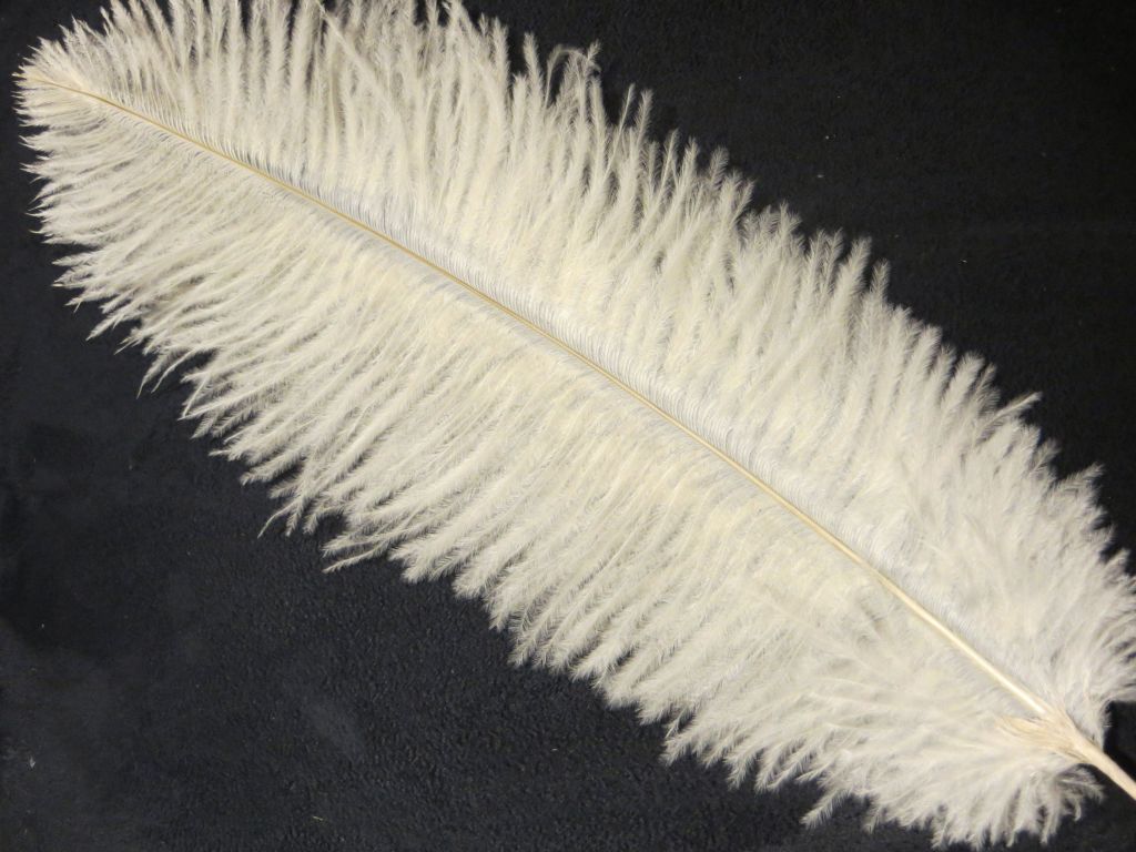 Straußenfeder klein - creme 30 cm