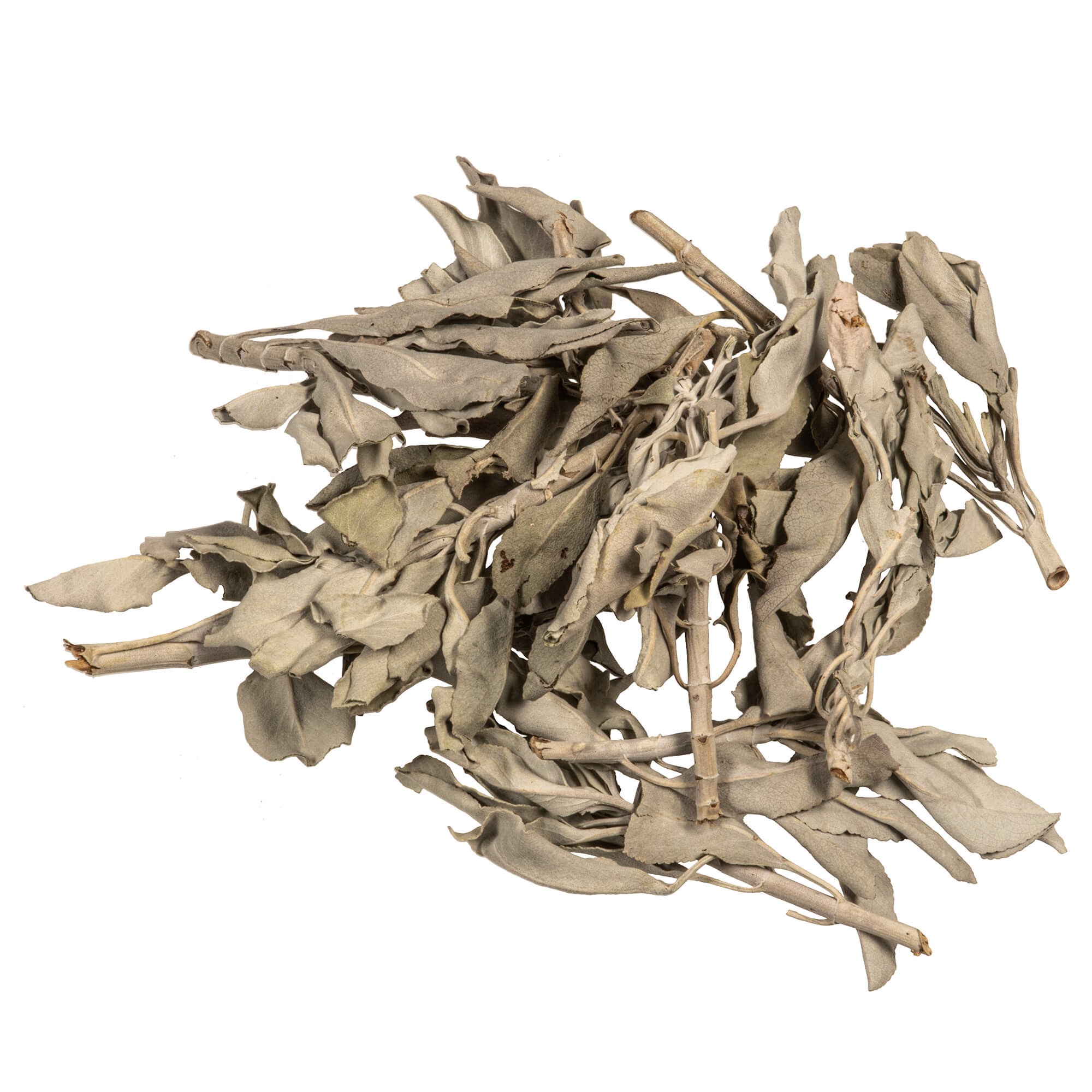 Weißer Salbei - lose 50g