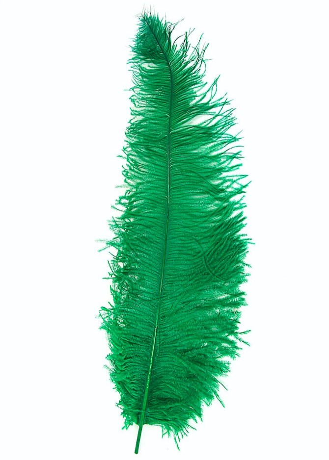 Straußenfeder klein - grün 30 cm